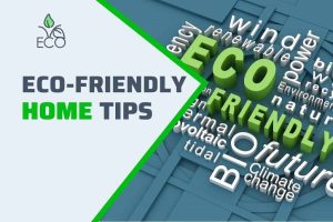 How to Be More Eco-Friendly at Home