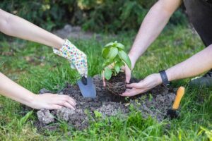 How do vegetables help the earth?
