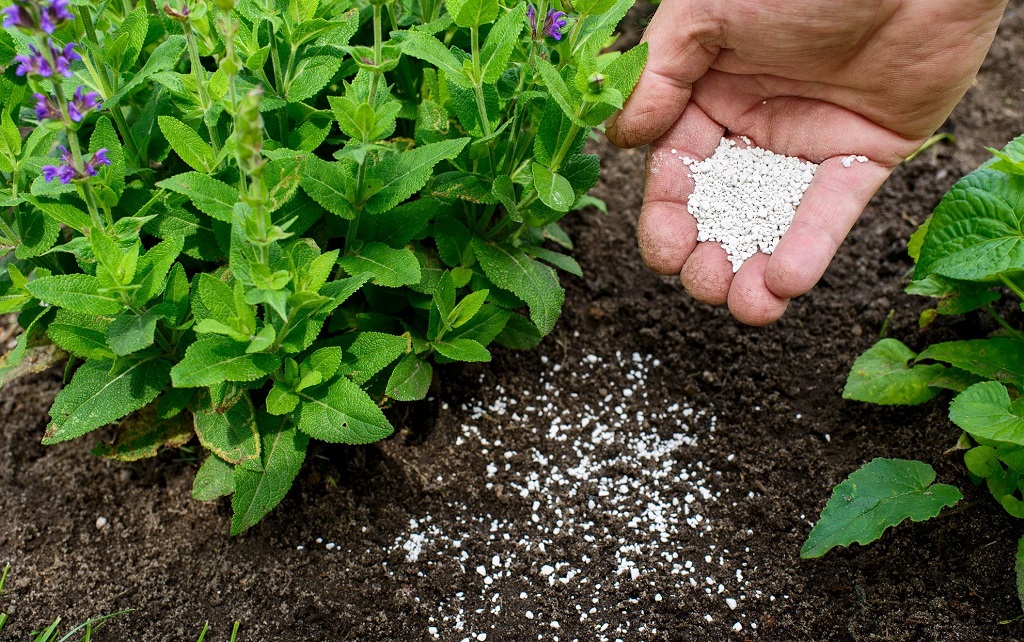 How to make organic fertilizer step by step