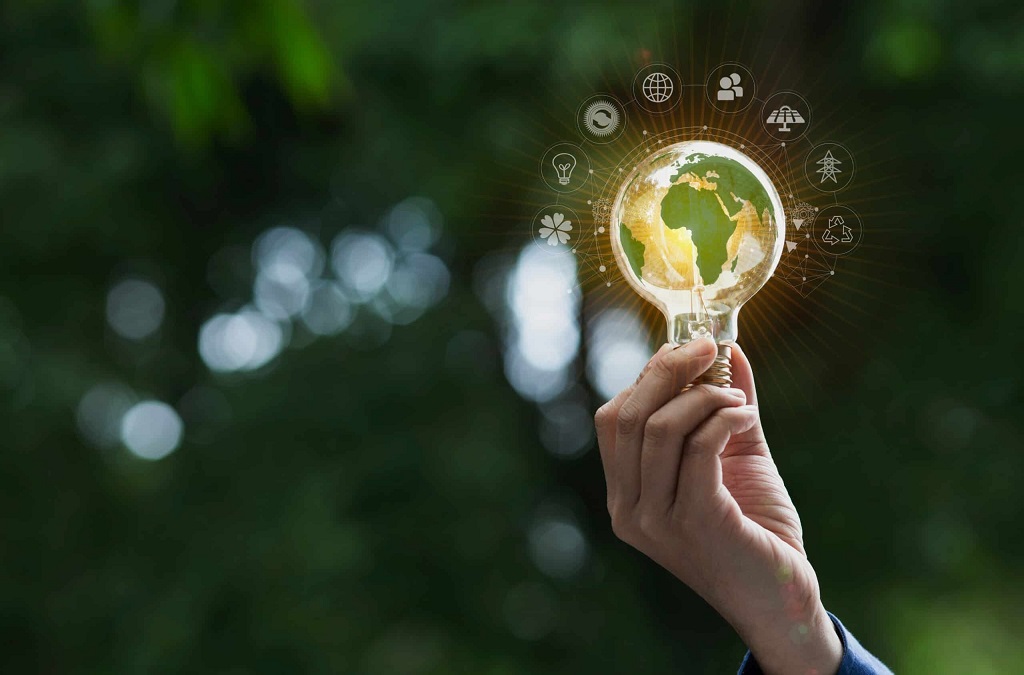 How Consumers Can Support Eco-Friendly Small Businesses