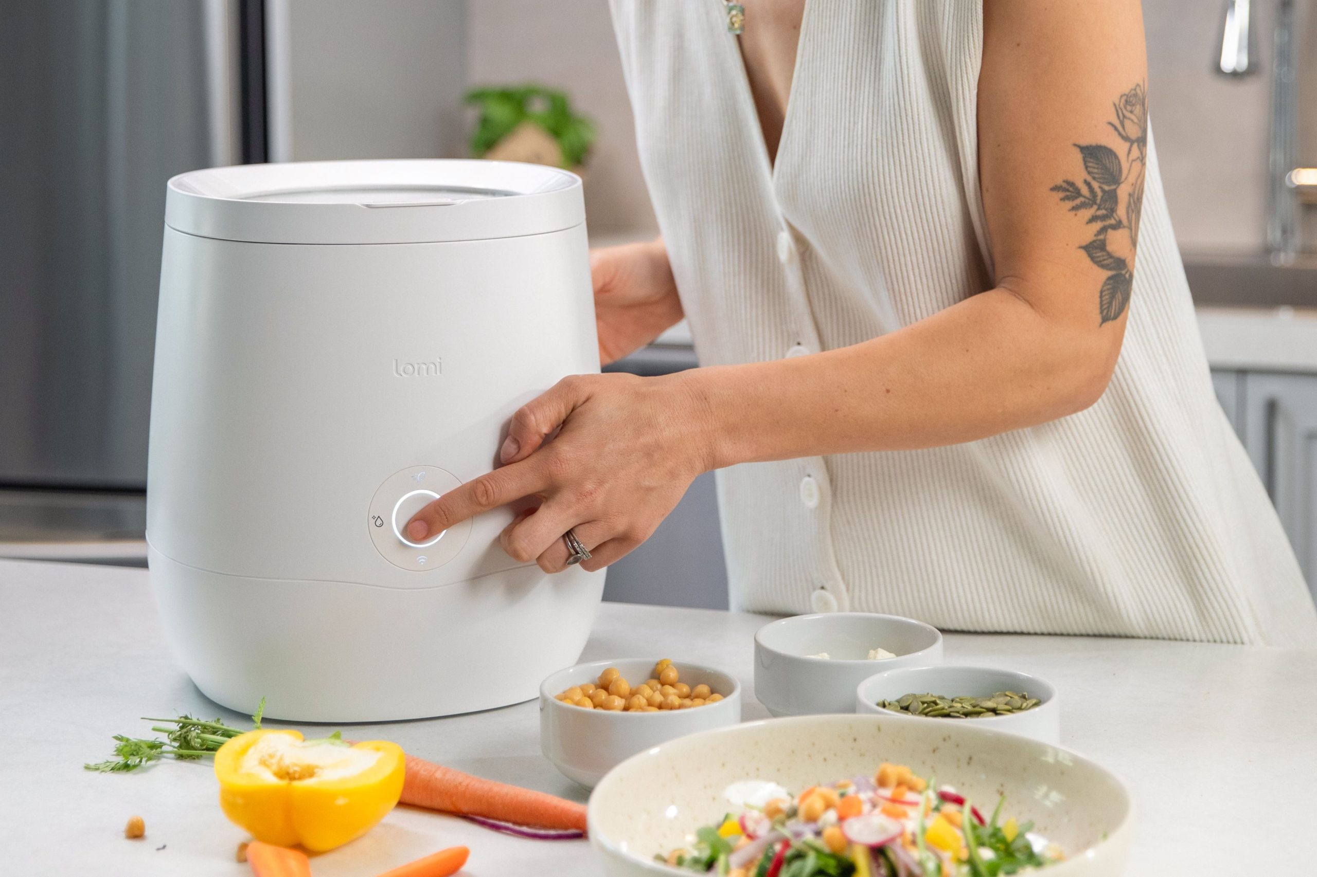 What Foods Work Best in Electric Composters for Kitchen Countertops
